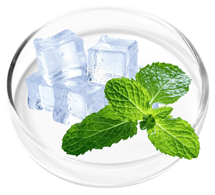Menthol ingredient