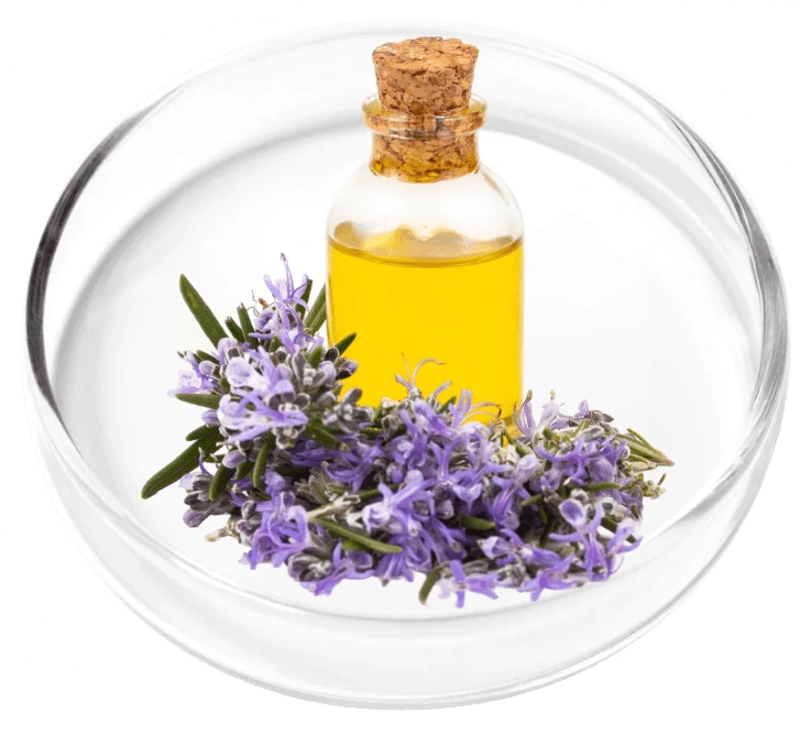 Lavender Oil ingredient