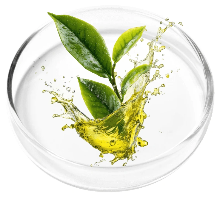 Tea Tree Oil ingredient