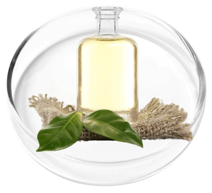Camphor Oil ingredient